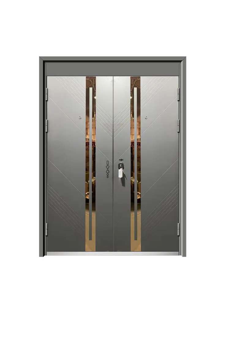 Matte graphite double steel door